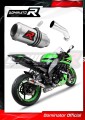 exhaust muffler DOMINATOR GP fits the motorcycle Kawasaki ZX10R 2008   2010