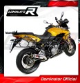 exhaust muffler DOMINATOR GP1 fits the motorcycle Aprilia ETV 1200 Caponord 2013   2016 3