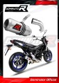 exhaust muffler DOMINATOR GP fits the motorcycle Suzuki SV 650 2016   2023