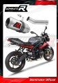 exhaust muffler DOMINATOR GP fits the motorcycle Triumph STREET TRIPLE 675 R / S / RS 2013   2016