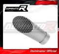exhaust muffler DOMINATOR GP3 fits the motorcycle S1000RR 2009   2011 2