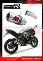 exhaust muffler DOMINATOR GP fits the motorcycle Kawasaki NINJA 125 Z125 2019   2023