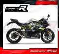 exhaust muffler DOMINATOR GP fits the motorcycle Kawasaki NINJA 125 Z125 2019   2023 4