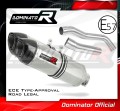 exhaust muffler DOMINATOR homologated road legal HP1 fits the motorcycle Z1000 2007   2009