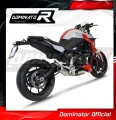 exhaust muffler DOMINATOR GP fits the motorcycle BMW F900R 2020   2026 3