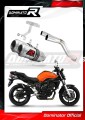exhaust muffler DOMINATOR GP fits the motorcycle Yamaha FZ6 2006   2010