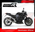 exhaust muffler DOMINATOR HP1 fits the motorcycle Yamaha FZ1 FAZER 1000 2006   2015 4