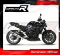 exhaust muffler DOMINATOR homologated road legal ROUND fits the motorcycle YAMAHA FZ1 1000 FAZER 2006   2015 4