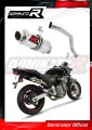 exhaust muffler DOMINATOR GP1 fits the motorcycle Honda CB 600F HORNET 1998   2002
