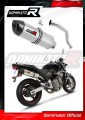 exhaust muffler DOMINATOR HP1 fits the motorcycle Honda CB 600F HORNET 1998   2002
