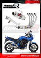 complete exhaust system with muffler DOMINATOR Full System GP1 fits the motorcycle Suzuki GSF 650 BANDIT N / S 2005   2006
