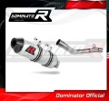exhaust muffler DOMINATOR MX2 fits the motorcycle GAS GAS EC 350 F 2021   2022 2