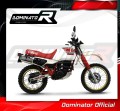 DOMINATOR ovális kipufogó dob, amely illeszkedik a Yamaha XT 600 TENERE 1987 - 1989 motorkerékpárhoz 4