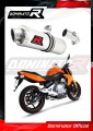 exhaust muffler DOMINATOR oval fits the motorcycle Kawasaki ER   6 N / F 650 2006   2008