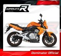 DOMINATOR GP1 kipufogó dob, amely illeszkedik a Kawasaki ER - 6 N / F 650 2006 - 2008 motorkerékpárhoz 2