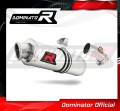 exhaust muffler DOMINATOR oval fits the motorcycle Kawasaki ER   6 N / F 650 2009   2011 2