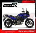 exhaust muffler DOMINATOR HP1 fits the motorcycle Suzuki DL 650 V Strom 2004   2006 4
