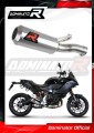 exhaust muffler DOMINATOR GP fits the motorcycle BMW F900XR 2020   2026