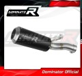exhaust muffler DOMINATOR GP BLACK fits the motorcycle BMW F900XR 2020   2026 2