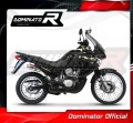 exhaust muffler DOMINATOR GP1 fits the motorcycle Honda XL 650 V TRANSALP 2001   2007 4