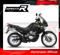 DOMINATOR HP1 kipufogódob a Honda XL 650 V TRANSALP 2001 - 2007 motorkerékpárhoz 4