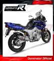 exhaust muffler DOMINATOR HP1 fits the motorcycle Yamaha TDM 850 Right Side 1996   2001 3
