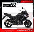 exhaust muffler DOMINATOR ROUND fits the motorcycle Kawasaki VERSYS 1000 2019   2024 3