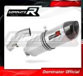 exhaust muffler DOMINATOR HP1 fits the motorcycle BMW R1200R 2006   2009
