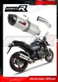 exhaust muffler DOMINATOR HP1 fits the motorcycle Honda CB 600F HORNET PC41 2007   2013