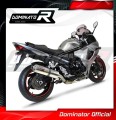 exhaust muffler DOMINATOR oval fits the motorcycle Suzuki GSX 1250 FA 2010   2016 3