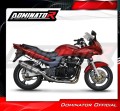 exhaust muffler DOMINATOR HP1 fits the motorcycle Kawasaki ZR7 / ZR7S 1999   2004 3