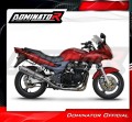 DOMINATOR Ovális kipufogó hangtompító Kawasaki ZR7 / ZR7S 1999 - 2004 motorkerékpárhoz 3