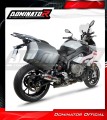 exhaust muffler DOMINATOR GP1 fits the motorcycle BMW S1000XR 2015   2019 4
