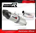 exhaust muffler DOMINATOR HP1 fits the motorcycle Ducati MONSTER 900 1993   2004
