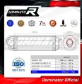 DOMINATOR HP1 kipufogódob a Ducati MONSTER 600 1993 - 2002 motorkerékpárhoz 2
