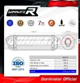 exhaust muffler DOMINATOR HP1 fits to Moto Guzzi BREVA 1100  2