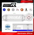 exhaust muffler DOMINATOR HP1 fits the motorcycle Triumph TT 600  2