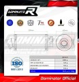 exhaust muffler DOMINATOR GP1 fits the motorcycle Suzuki SV 650 S 1999   2002 4