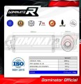 exhaust muffler DOMINATOR oval fits the motorcycle BMW G650 GS 2011   2018 4
