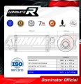 exhaust muffler DOMINATOR GP1 fits the motorcycle Aprilia Pegaso 650 Strada 2005   2006 2