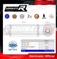 wydech tłumik DOMINATOR Owalny pasujący do motocykla Kawasaki ZRX 1200 S 2001 - 2007 4