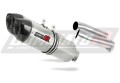 exhaust muffler DOMINATOR HP1 fits the motorcycle Aprilia Tuono 1000 R 2006   2010 3