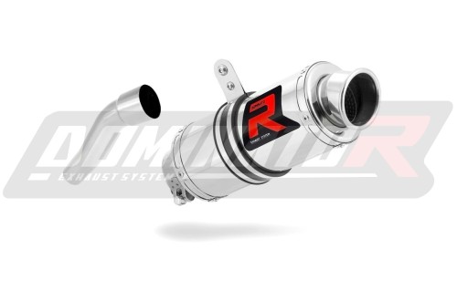 exhaust muffler DOMINATOR GP1 fits the motorcycle Aprilia RS 125 1999   2005 3