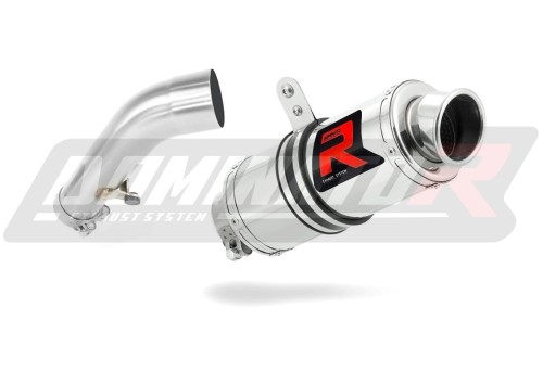exhaust muffler DOMINATOR GP1 fits the motorcycle BMW R1200R 2006   2009 3