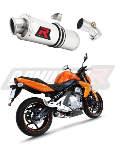 exhaust muffler DOMINATOR oval fits the motorcycle Kawasaki ER   6 N / F 650 2006   2008 6