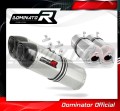 exhaust muffler DOMINATOR HP1 fits the motorcycle KTM 690 SM SUPERMOTO  2