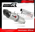 exhaust muffler DOMINATOR HP1 fits to Aprilia Tuono 1000 R 2006  2010