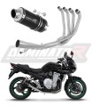 complete exhaust system with muffler DOMIN
