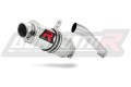 exhaust muffler DOMINATOR GP1 fits the motorcycle Yamaha FZS FAZER 600 1998   2003