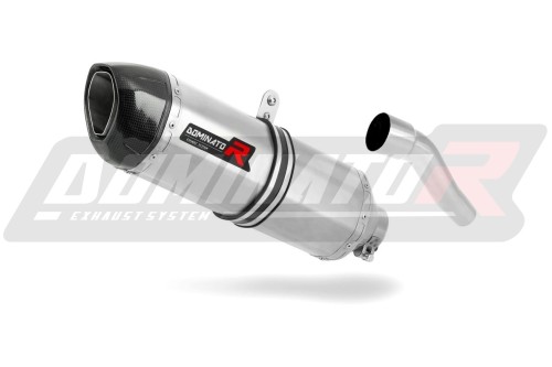 exhaust muffler DOMINATOR HP1 fits the motorcycle Yamaha TZR 125  3